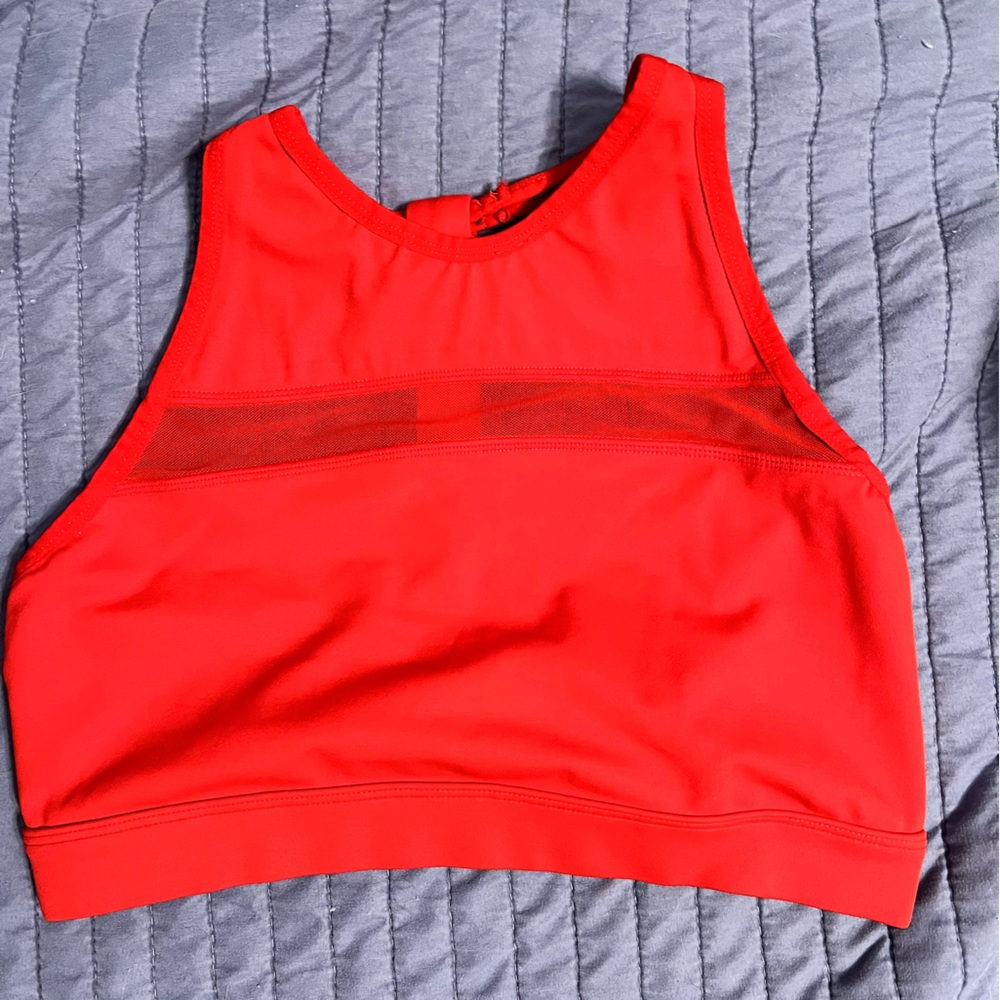 The Chestee Sports Bra
